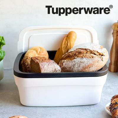 Tupperware BreadSmart Large